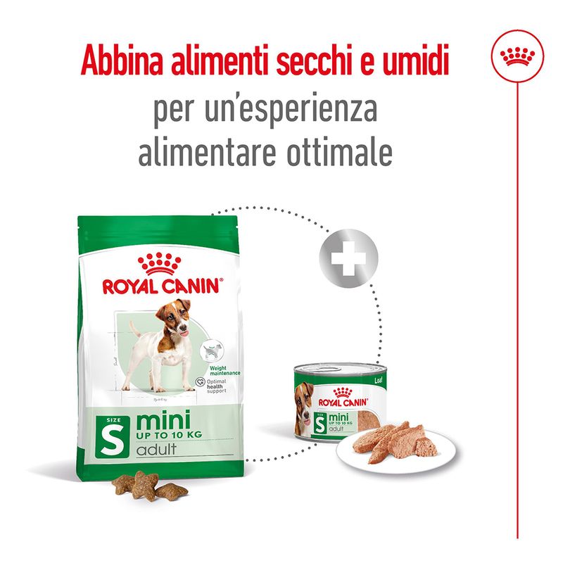 2x8kg Royal Canin Mini Adult - Crocchette per Cani 2x8kg Royal Canin Mini Adult - Crocchette per Cani